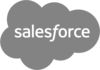 saleseforce logo